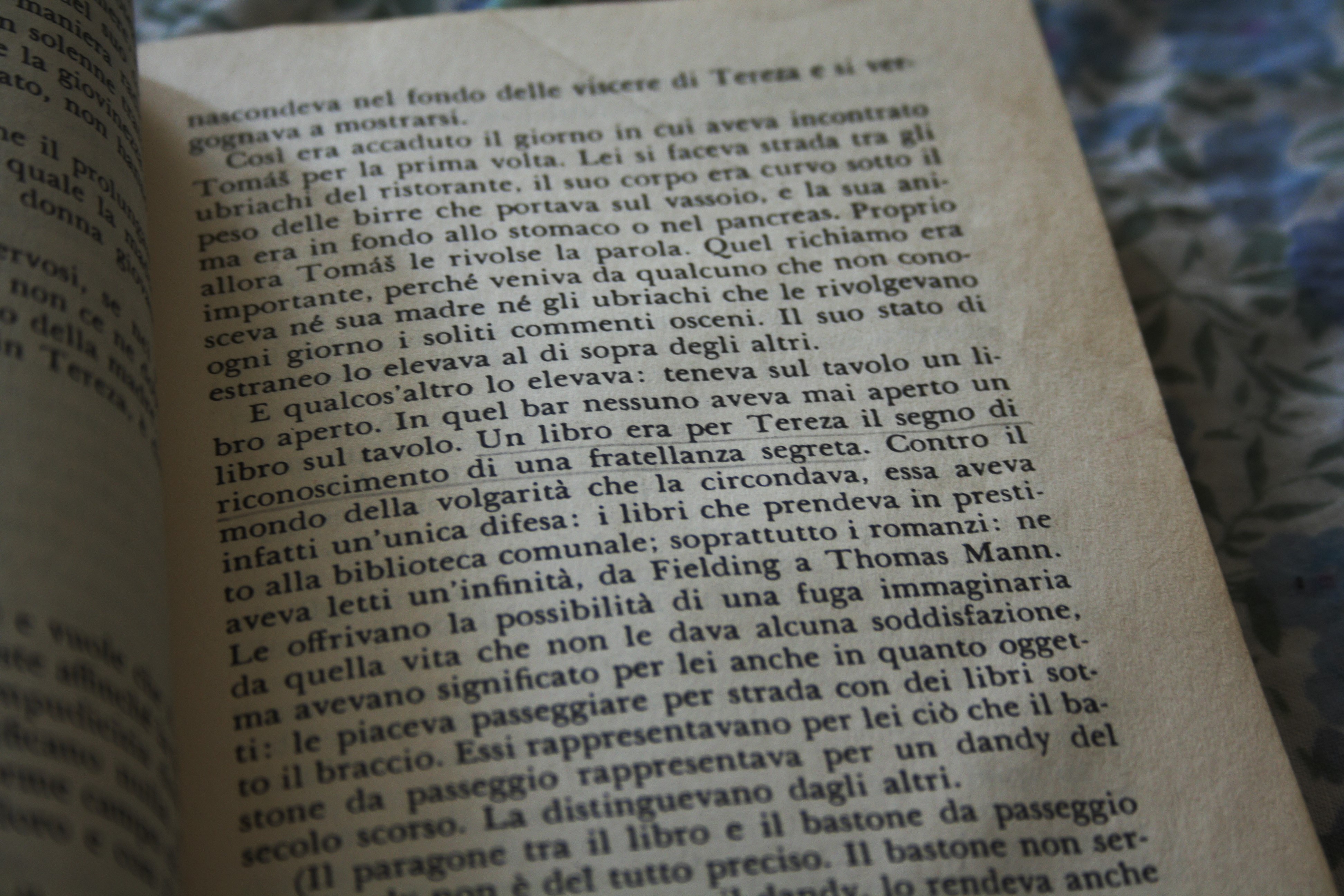 «Un libro era per Tereza il segno di riconoscimento di una fratellanza segreta.»