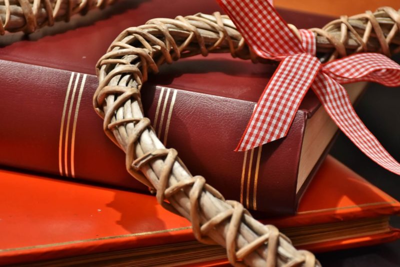 7 titoli sotto l’albero: libri da regalare a Natale