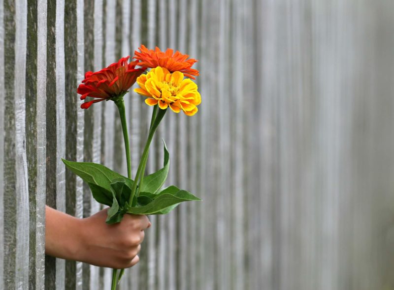 La poesia di questo venerdì non è stata scritta da un poeta nel senso stretto del termine: ho deciso infatti di farvi leggere Un dono, un breve scritto di Gandhi.