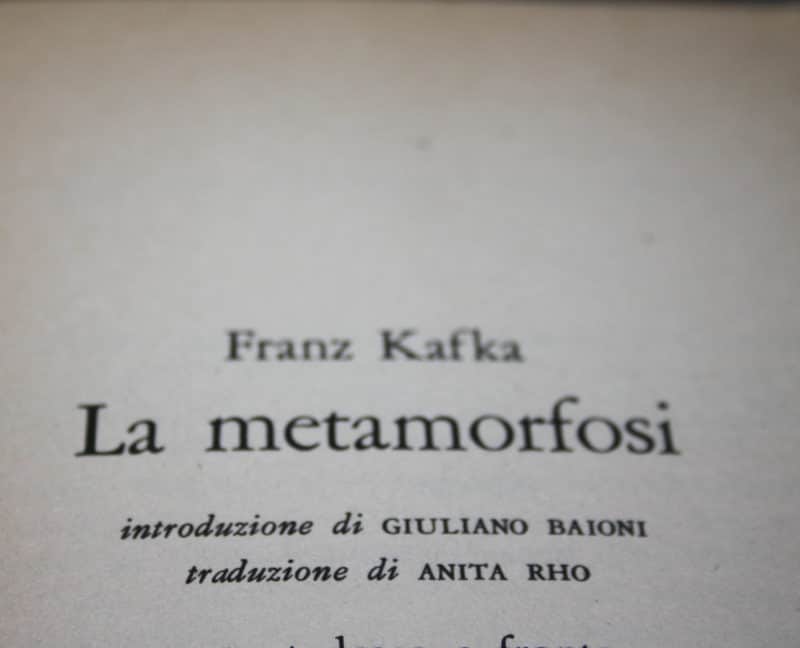 Recensione di La Metamorfosi di Franz Kafka