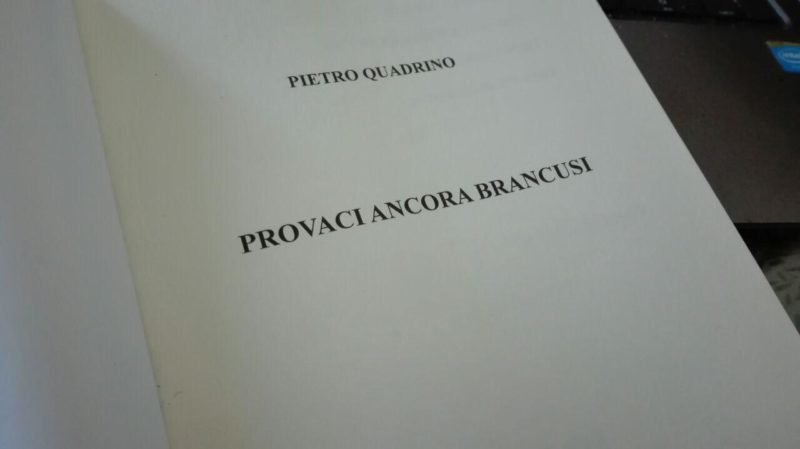 Recensione di Provaci ancora Brancusi di Pietro Quadrino