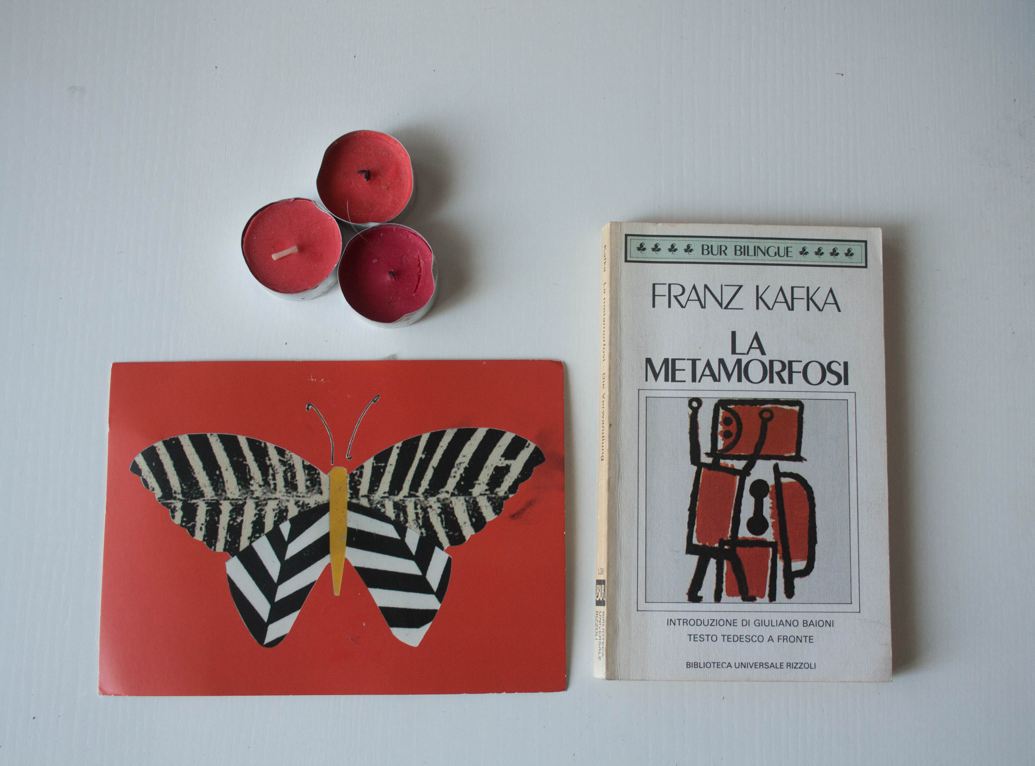 Lezioni di letteratura: La metamorfosi letto da me e spiegato da Nabokov