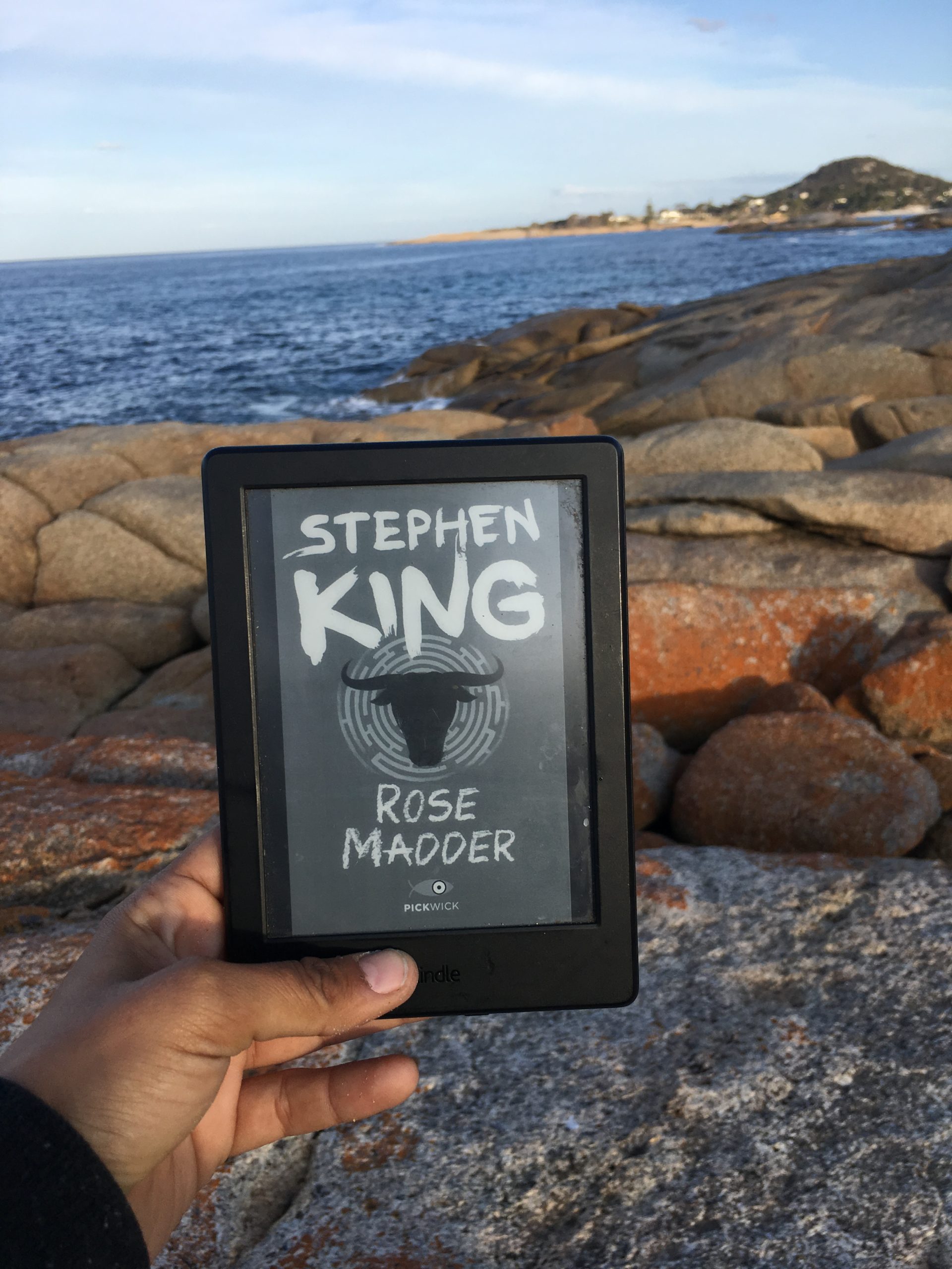 rose madder recensione libro stephen king