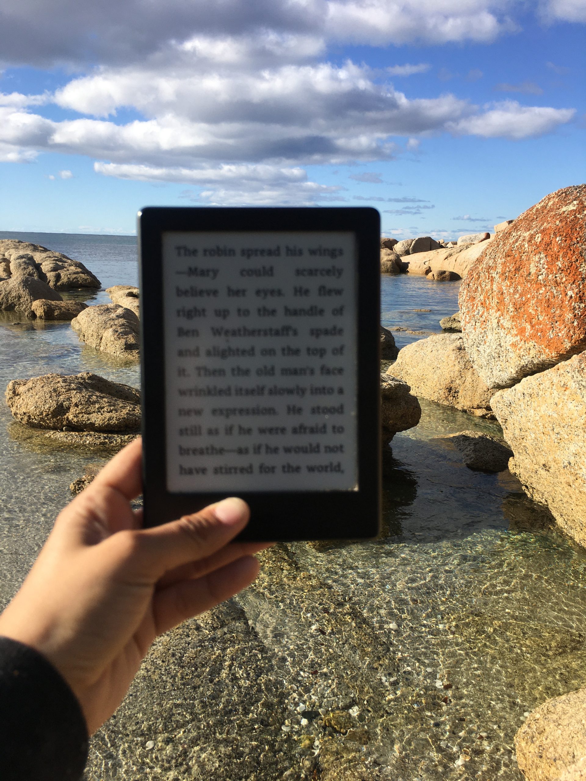 #leggiunebookanchetu: la lettura digitale è ecologica più di quella tradizionale?