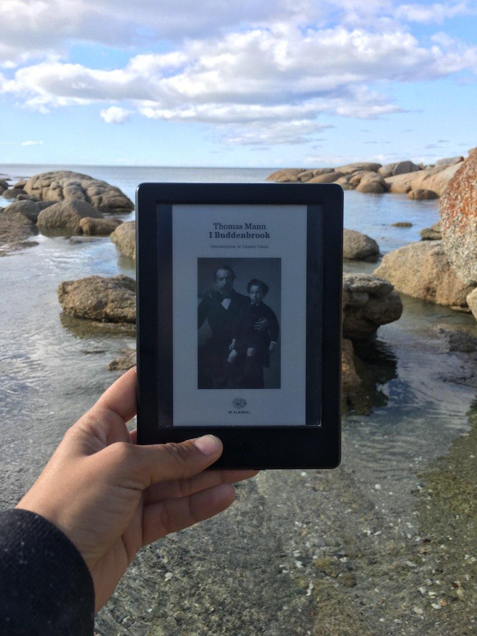 Recensione di I Buddenbrook: decadenza di una famiglia di Thomas Mann