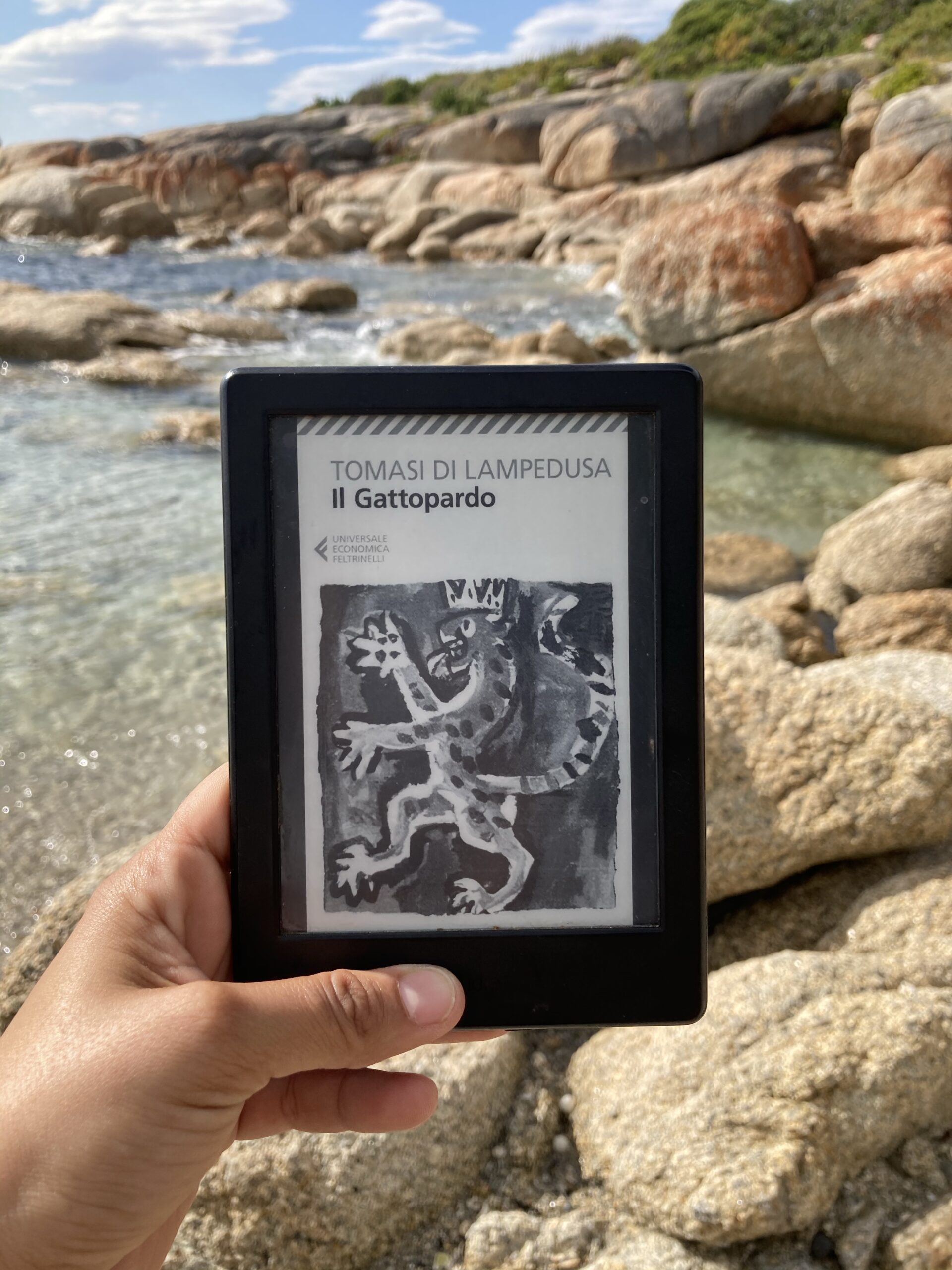 Recensione di Il gattopardo di Giuseppe Tomasi di Lampedusa