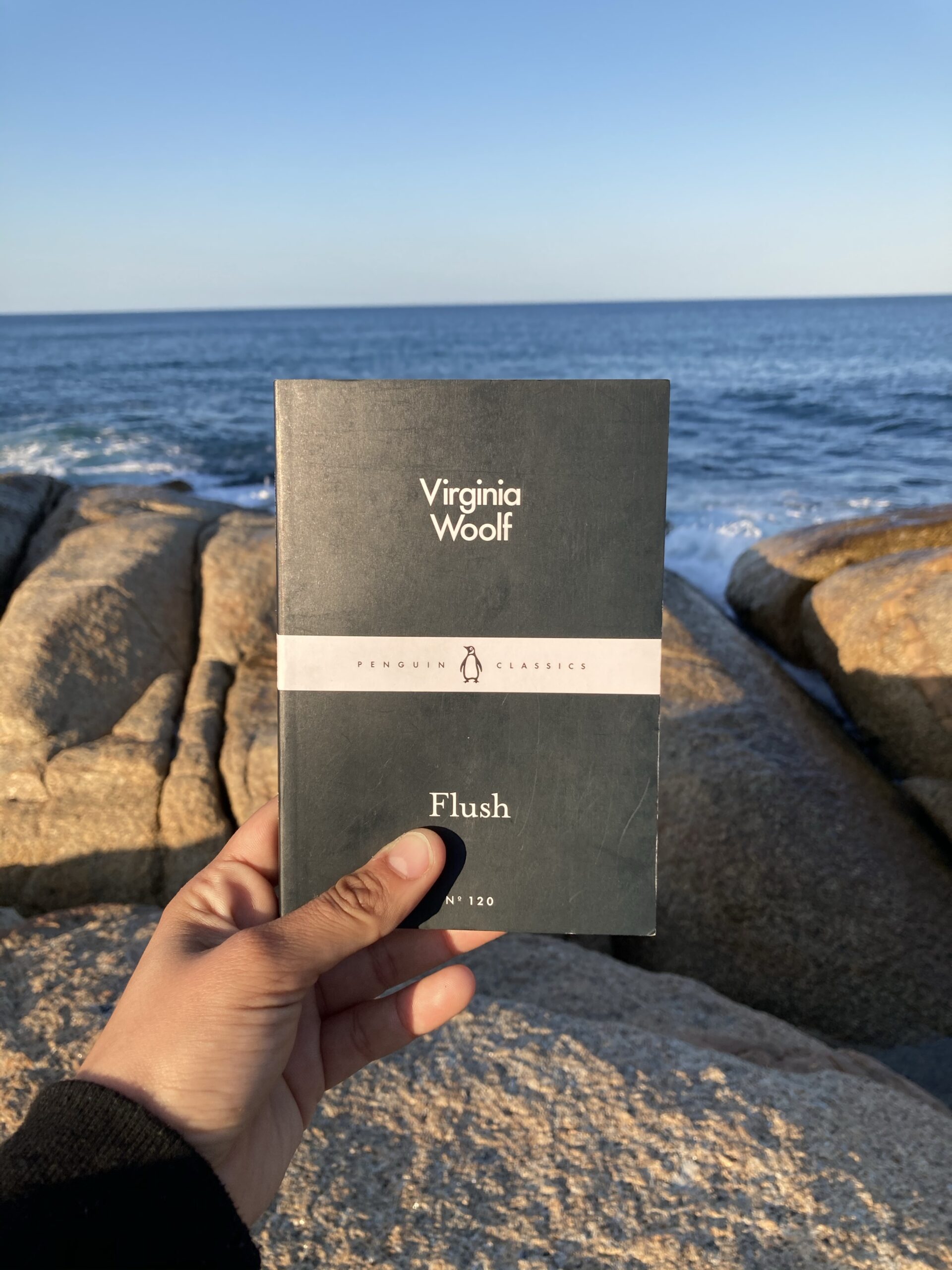 flush recensione libro virginia woolf