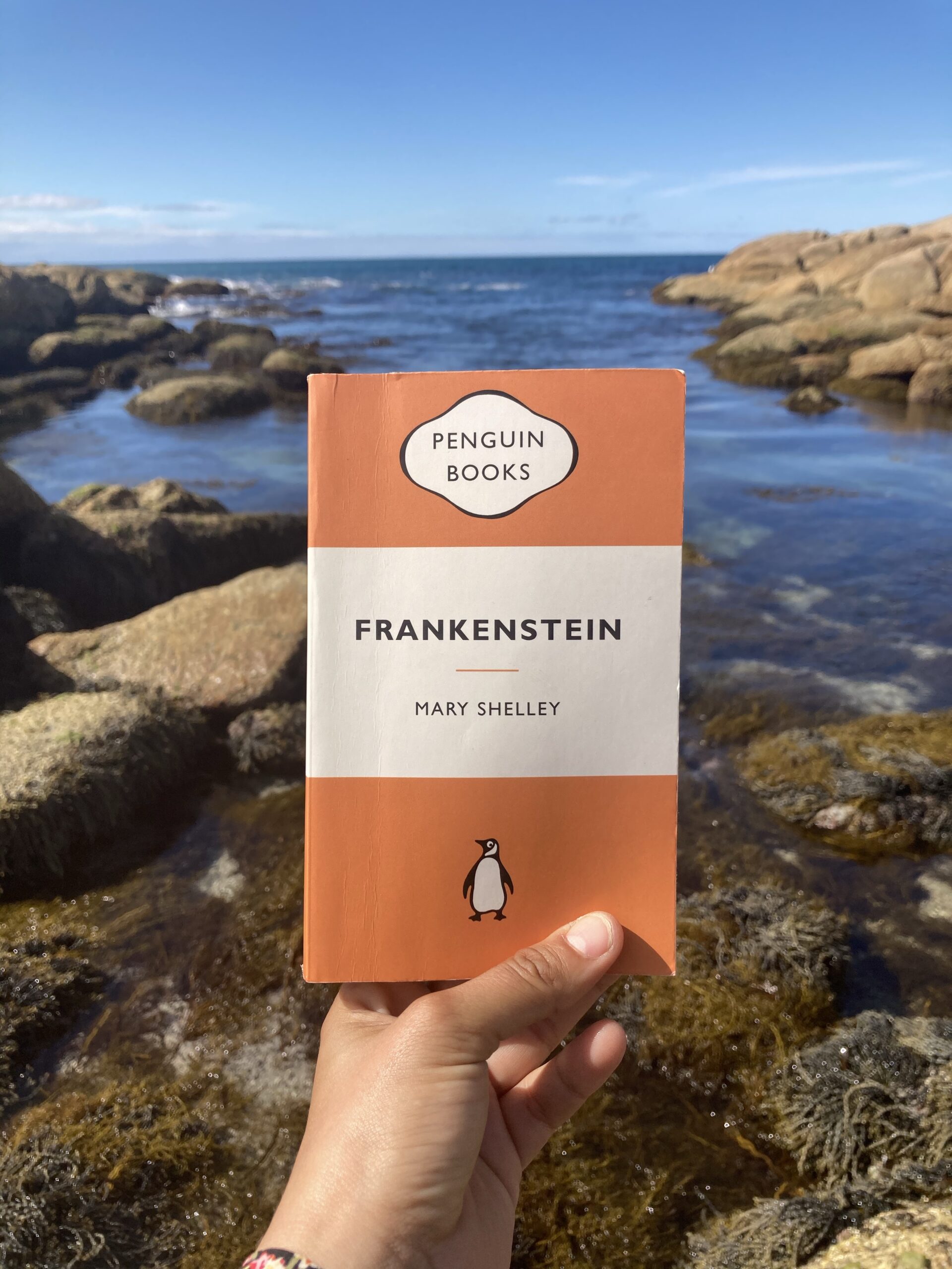 Frankestein recensione libro di Mary Shelley