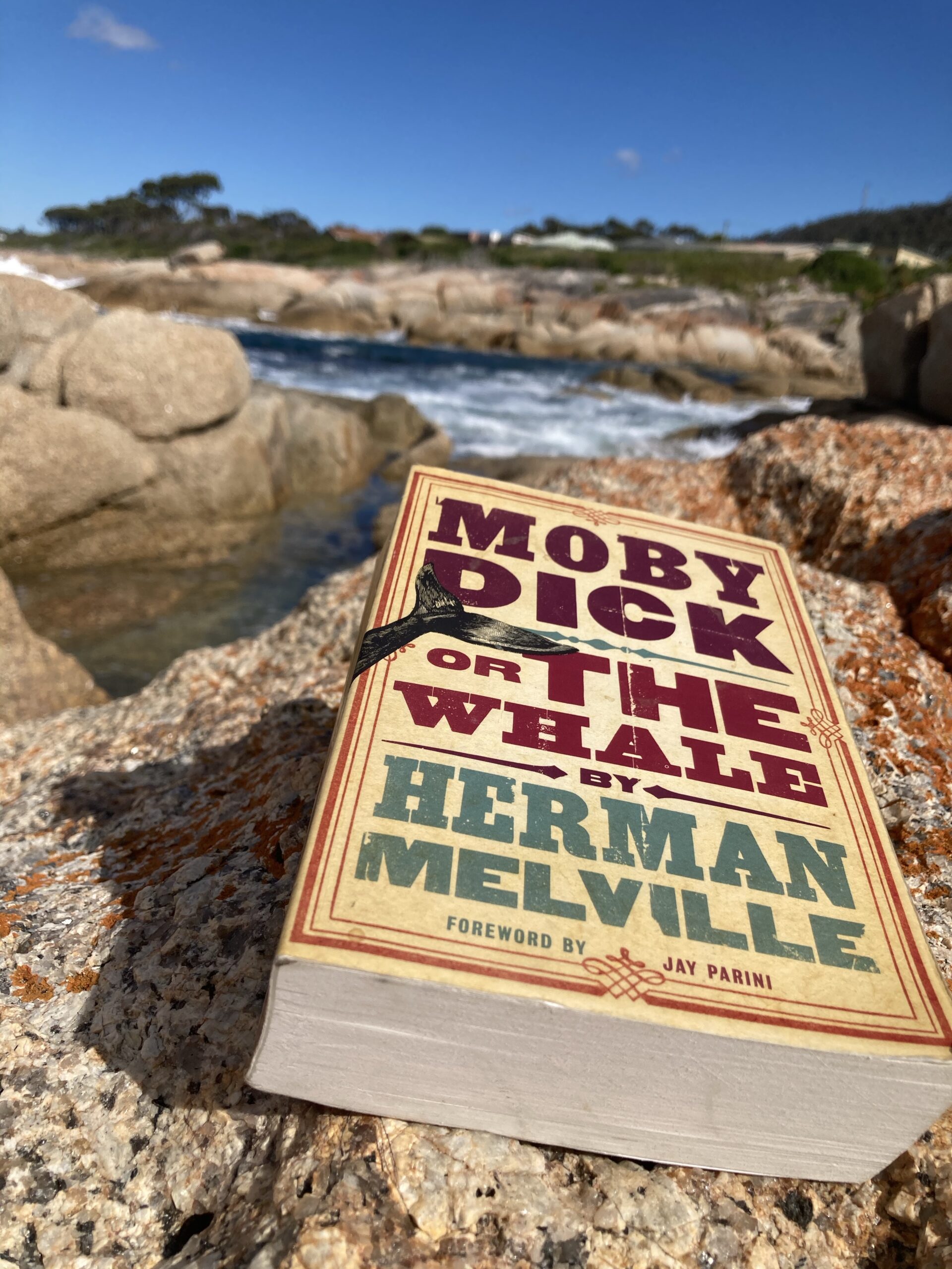 Recensione di Moby Dick di Herman Melville