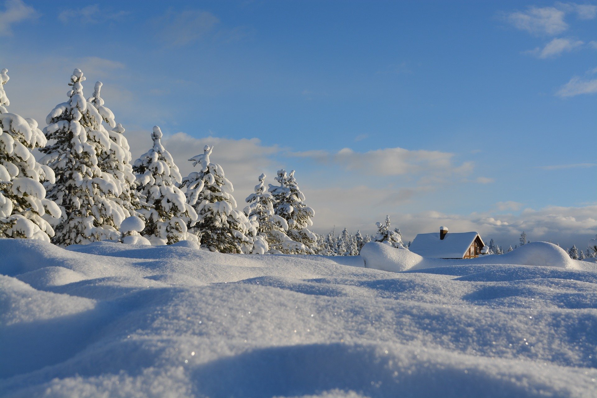 La poesia della settimana: Neve di Gianni Rodari