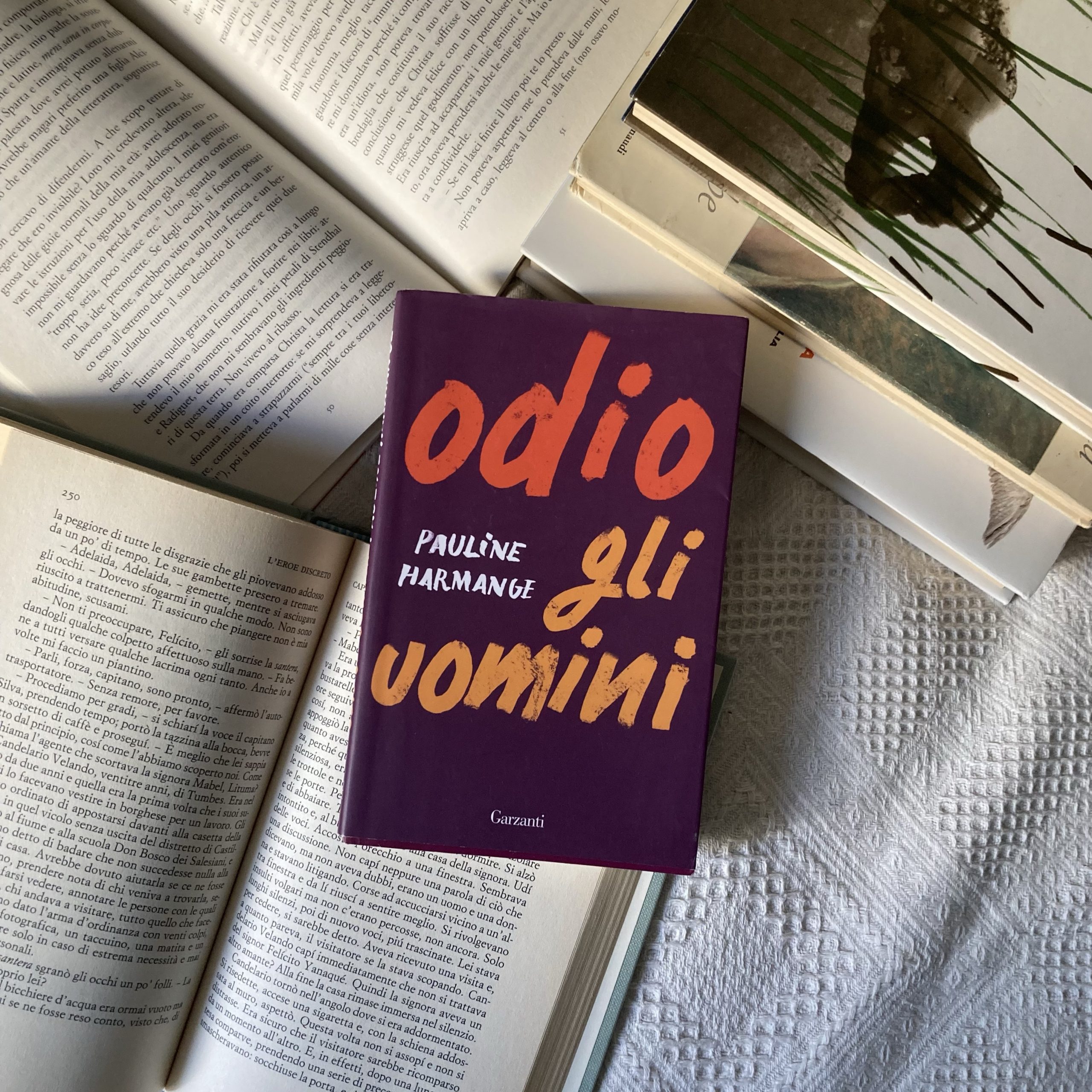 Recensione di Odio gli uomini di Pauline Harmange